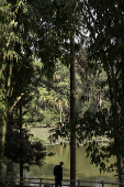 Gestes dos Parques Horto Florestal e Cantareira 