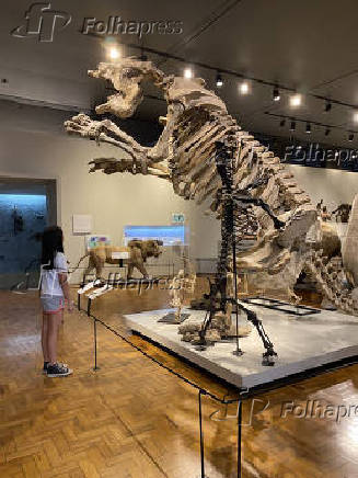 Museu de Zoologia da Universidade de So Paulo