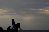 Paris 2024 Paralympics - Equestrian