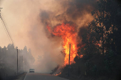 Declarado incendio en el centro de Portugal