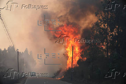 Declarado incendio en el centro de Portugal