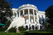 US President Biden pardons two turkeys on annual Thanksgiving tradition