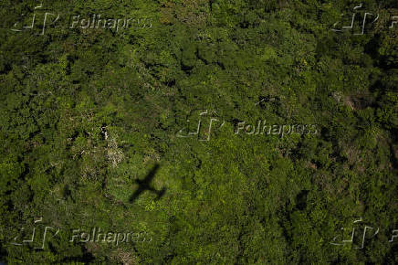 Avio sobrevoa a floresta da Terra Indgena (TI) Trincheira Bacaj, em Altamira, (PA)