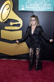 2024 Latin Grammy Academy Person of the Year red carpet