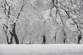 Heavy winter snowfall in Belgrade