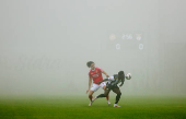 Primeira Liga - Nacional v Benfica