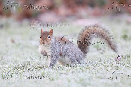 Cold weather in London