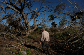 Aftermath of Hurricane Rafael in Cuba's Artemisa province