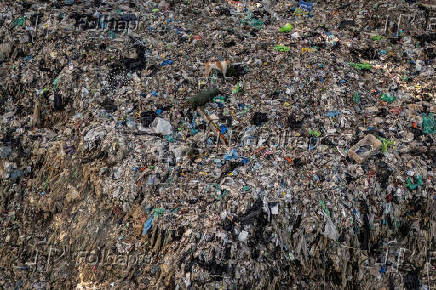 Plastic Pollution in the Philippines