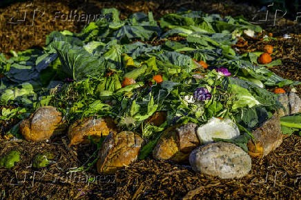 Desperdcio de alimento em compostagem urbana