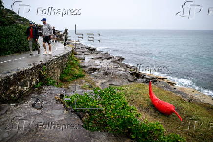 Sculpture by the Sea media launch event