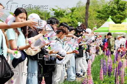 Hampyeong Butterfly Fest in South Korea