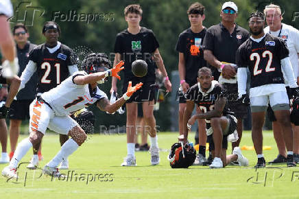 NFL: Cincinnati Bengals Training Camp