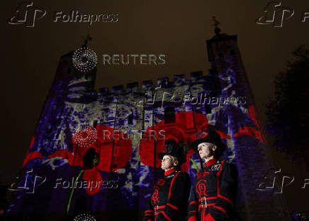 Poppy Fields at the Tower of London