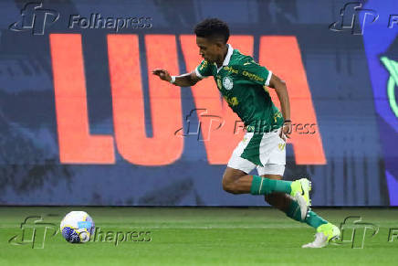 Palmeiras e Botafogo pelo Campeonato Brasileiro