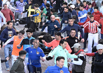 Arranca en San Sebastin de los Reyes la temporada de encierros taurinos en Espaa