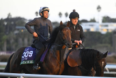 Horse Racing: Breeders' Cup Championship-Workouts