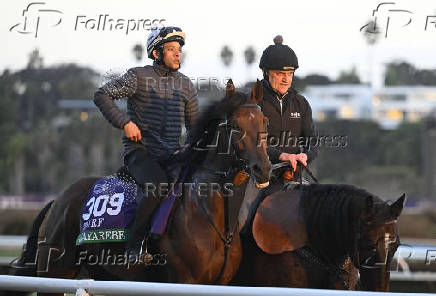 Horse Racing: Breeders' Cup Championship-Workouts