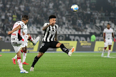 Botafogo X Vitoria(BA) Brasileirao 2024