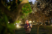 A person takes photos as plum blossoms in Taipei