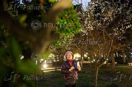 A person takes photos as plum blossoms in Taipei