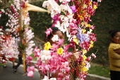 Salvadoreos celebran el festival de Flores y Palmas