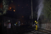 Firefighters battle the Hollywood Hills Fire in Los Angeles, California