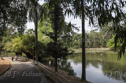 Vista interna do Horto Florestal, em SP