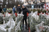 Christmas trees on sale in central Bialystok