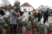 Christmas trees on sale in central Bialystok