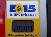 FILE PHOTO: A gas pump displays the price for E15, a gasoline with 15 percent of ethanol, at a gas station in Nevada