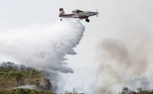 Incndio numa rea de mata perto do aeroporto de Braslia.