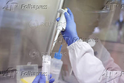 FILE PHOTO: Brazil boosts bird flu defense to protect world's top chicken industry, in Campinas