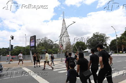 rvore Natal Ibirapuera