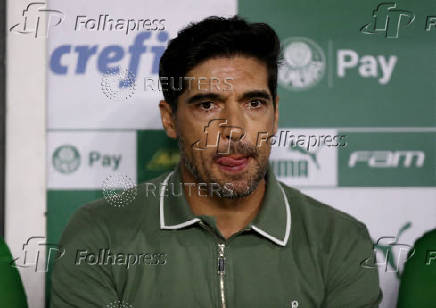 Brasileiro Championship - Palmeiras v Botafogo