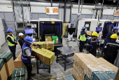 Workers handle boxes of flowers for export before Valentine?s Day, in Quito