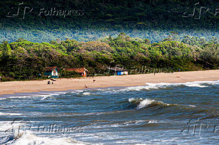 Movimentao na praia da Armao, localizada no sul da ilha no municpio de Penha (SC)