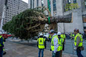 Rockefeller Christmas Tree is Delivered and Raised