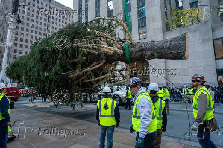 Rockefeller Christmas Tree is Delivered and Raised