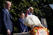 US President Biden pardons two turkeys on annual Thanksgiving tradition