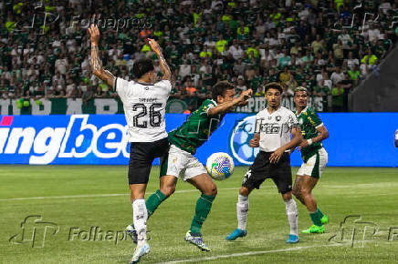 Partida entre Palmeiras e Botafogo