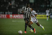 Partida vlida pela Copa Libertadores da Amrica 2024 entre Botafogo e LDU