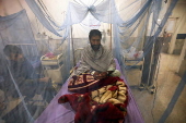 Dengue fever cases on rise in Peshawar