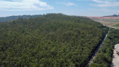 Aterro de tratamento de resduos na regio leste de SP