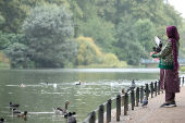 Birds land on a person at St James's Park in London