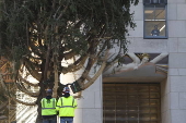 Rockefeller Christmas tree arrives to Rockefeller Center in New York