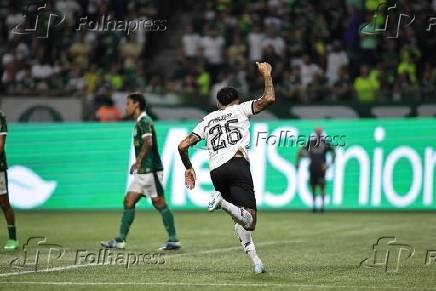 Palmeiras x Botafogo - Campeonato Brasileiro 2024