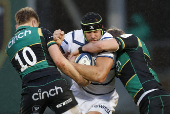 European Champions Cup - Pool 3 - Northampton Saints v Castres