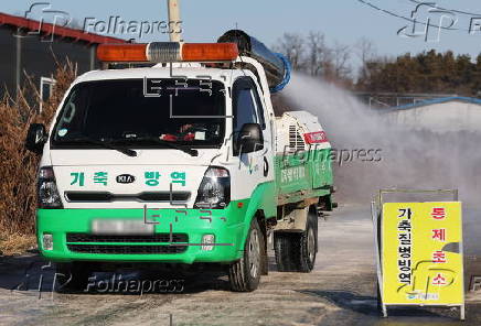 Clean up measures under way in Yeoju after bird flu outbreak at poultry farm