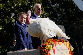 US President Biden pardons two turkeys on annual Thanksgiving tradition